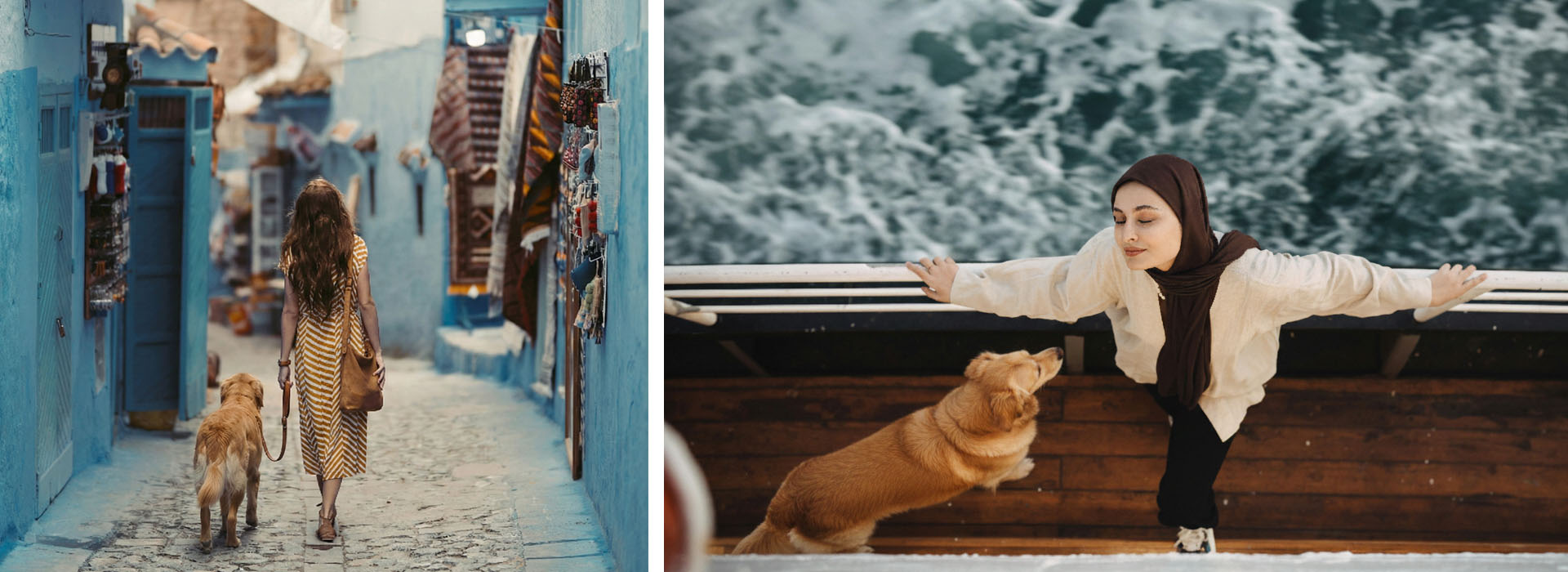 con tu perro a marruecos