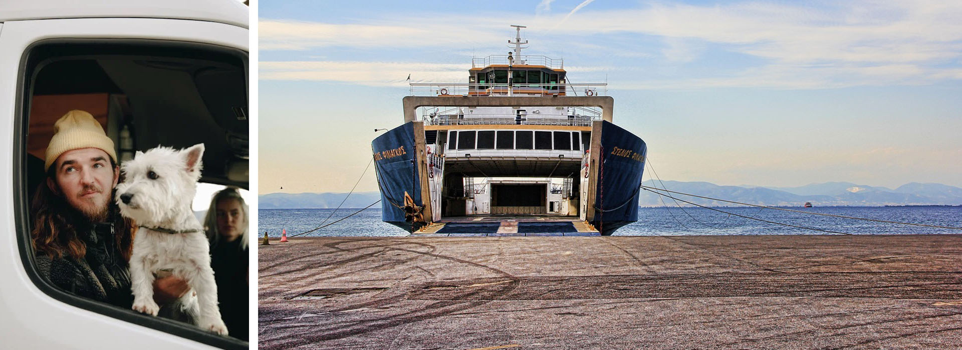 con tu perro a marruecos