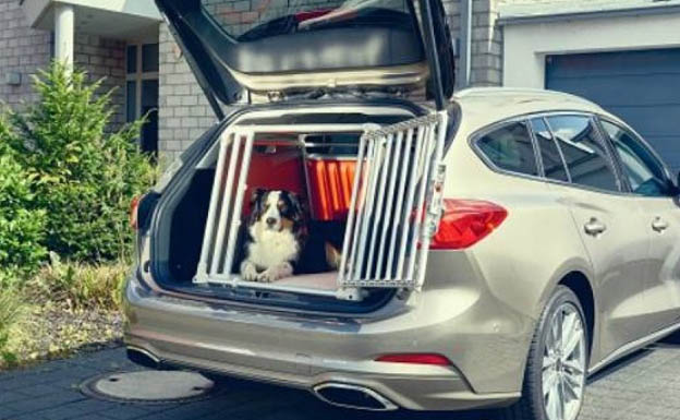 coche para perros